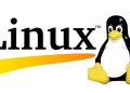 Remove a Directory in Linux