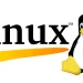Remove a Directory in Linux